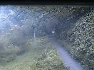 still image