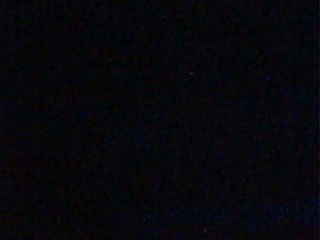 Haut