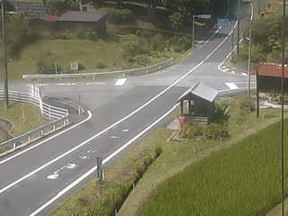 still image