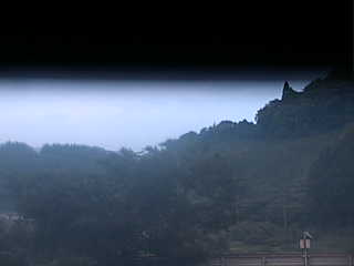 Tele